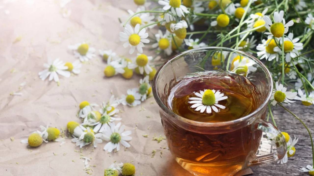 Chamomile flowers, often brewed as a soothing herbal rinse.